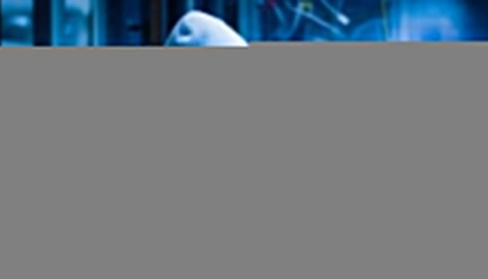 566577-0-51979400-1758920196-shutterstock-1120918214.webp.jpeg
