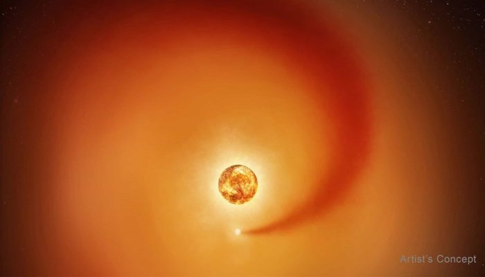 Betelgeuse-e-estrela-companheira-scaled.jpg