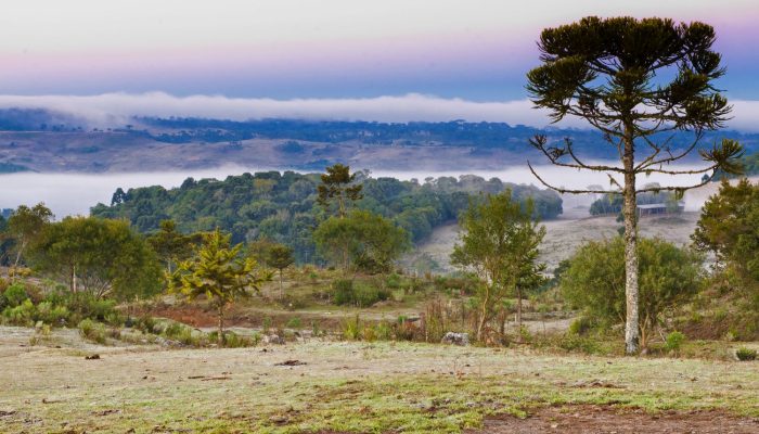 HOTEL-FAZENDA-BOQUEIRAO-AMANHECER-NA-SERRA_LAGES_NIK_7919_Makito.jpg