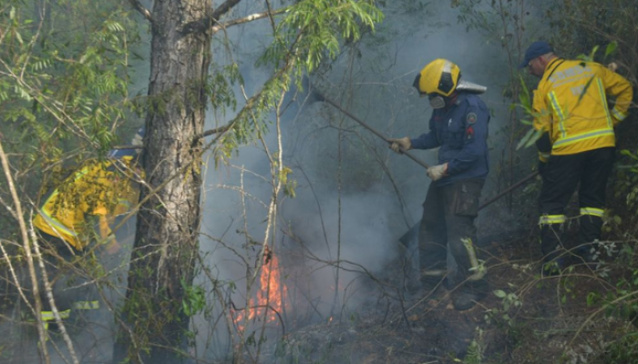 Prevencao-incencios-e-queimadas_Divulgacao_CBMSC.png