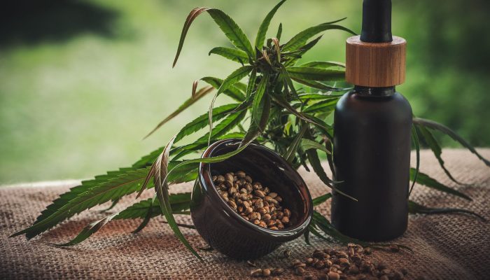cbd-4474903.jpg