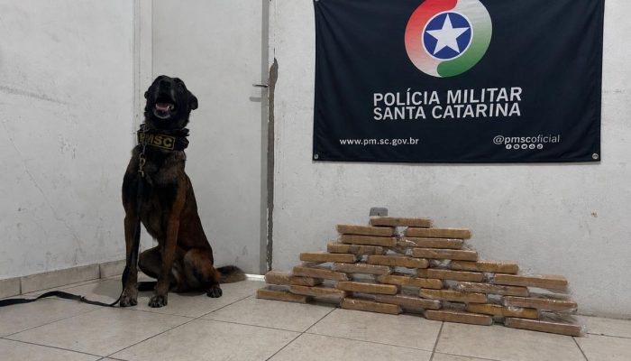 choque-pmsc-apreende-cocaina-fundo-falso-br101-palhoca.jpg