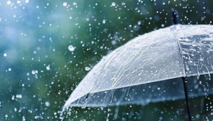 chuva_6a730b653cbbf.jpg