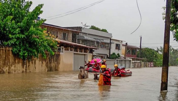 chuvas_em_pernambuco04.jpg