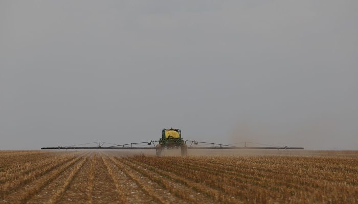 d6a9557_0.jpg