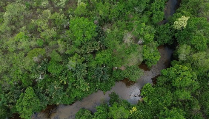 dji_0255_0.jpg