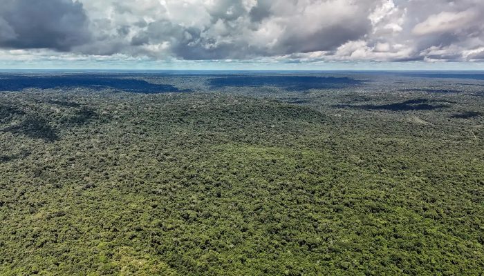 dji_20260514133612_0223_d_55279773377_o.jpg