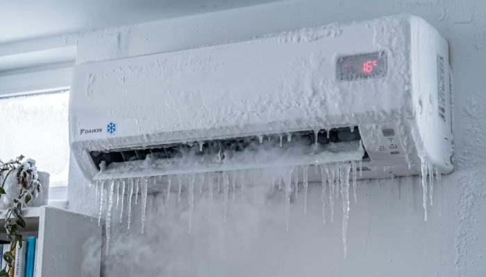 e4f43ece-3c8c-4f11-92e8-93af18f65388.jpg