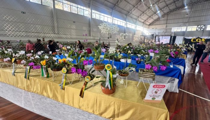 exposicao-de-orquideas-celebra-o-dia-do-orquidofilo-em-erechim1781063292.jpg