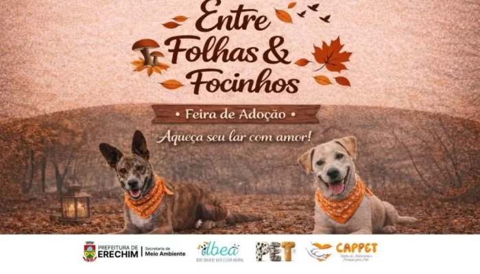 feira-de-adocao-de-caes-acontece-neste-sabado-no-parque-pet-em-erechim-1450x850-cc41ab8d.webp.webp