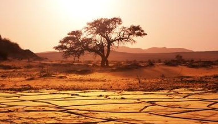 fenomeno-el-nino-pode-antecipar-niveis-de-calor-global-em-dez-anos.jpg