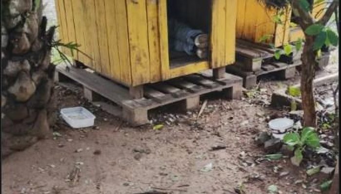 homem-em-situacao-de-rua-usa-casinha-de-cachorro-como-abrigo-no-centro-de-santa-maria.jpg