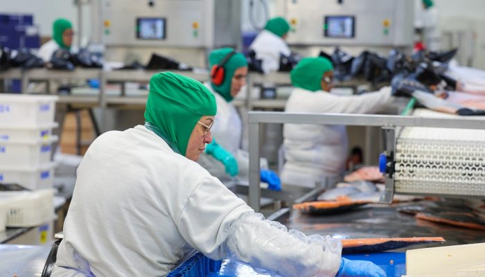 industria-de-pescador-Frumar-6773-1.jpg