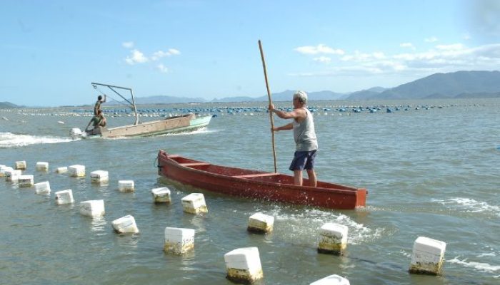 maricultura.jpg