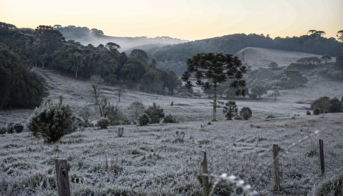 massa-de-ar-frio-derruba-temperaturas-e-pode-levar-minimas-proximas-de-0-c-no-rs.png