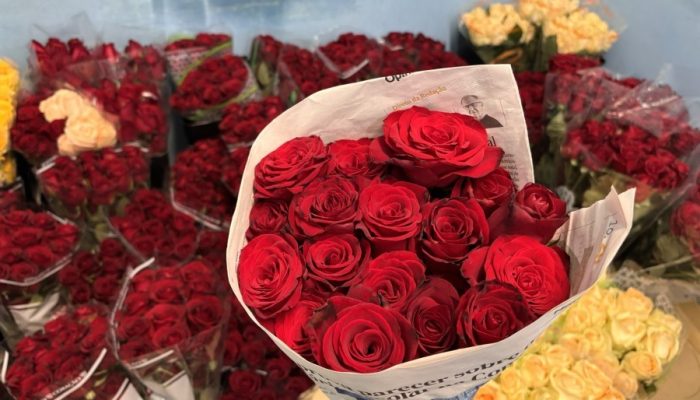 mil-rosas-gratidao-e-uma-historia-de-recuperacao-no-hospital-santa-terezinha1790860163.jpg