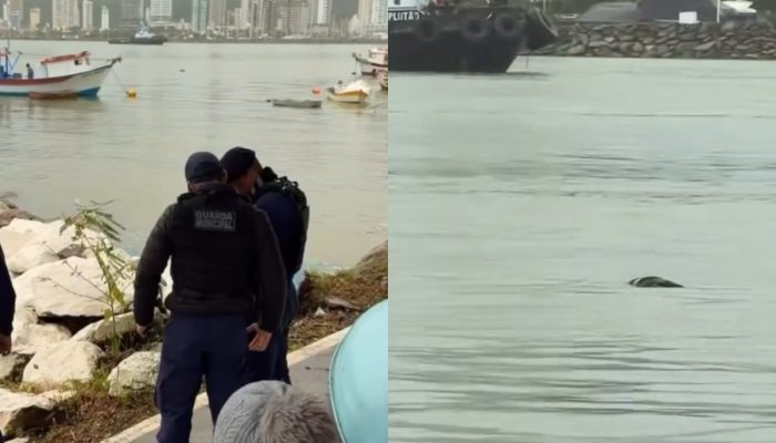 moradora-navegantes-encontrada-morta-rio-itajai-acu-tiro-cabeca.jpg