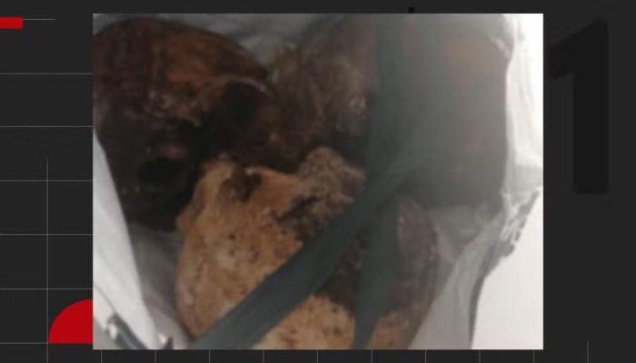 policia-confirma-violacao-de-sepulturas-no-rs-apos-apreensao-de-cranios.jpg