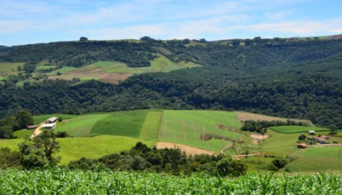 propriedade-rural-Foto-Aires-Mariga.jpg