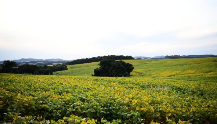 propriedade-rural-campos-novos.jpg