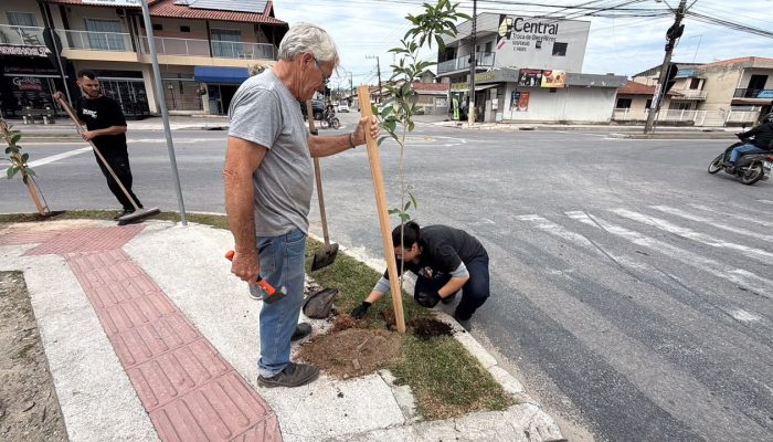 tijucas-arborizacao-avenida-coleira.jpg