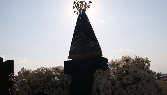 vac_abr_1210221298.jpg