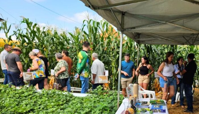 visitante-itaipu-rural-show.jpg